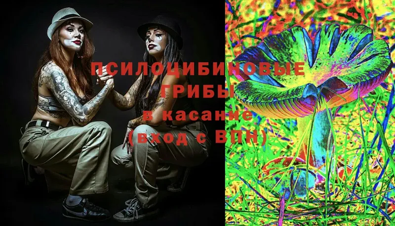 Псилоцибиновые грибы Magic Shrooms  МЕГА зеркало  Борзя 